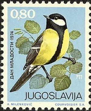 Colnect-1975-925-Great-Tit-Parus-major.jpg