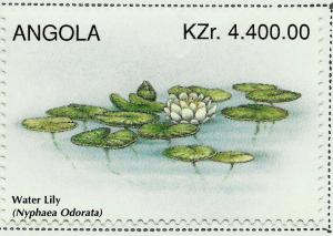 Colnect-2221-003-Fragrant-Water-Lily-Nymphaea-odorata.jpg