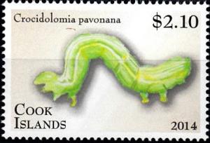 Colnect-2397-588-Cabbage-Cluster-Caterpillar-Crocidolomia-pavonana.jpg