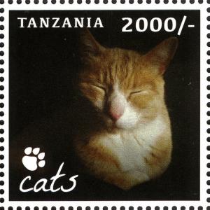 Colnect-2427-363-Domestic-Cat-Felis-silvestris-catus.jpg