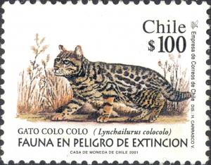 Colnect-2697-242-Pampas-Cat-Lynchailurus-colocolo.jpg