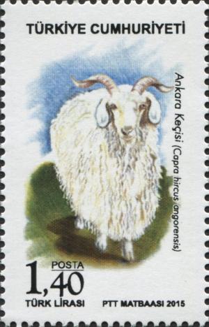 Colnect-3251-134-Angora-Goat-Capra-aegagrus-hircus.jpg