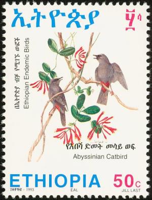 Colnect-3322-289-Abyssinian-Catbird-Parophasma-galinieri.jpg