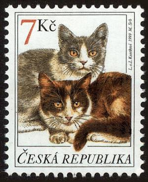 Colnect-3726-885-Domestic-Cat-Felis-silvestris-catus.jpg
