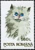 Colnect-4900-253-Domestic-Cat-Felis-silvestris-catus.jpg