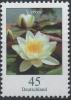 Colnect-5600-593-White-Water-lily-Nymphaea-alba.jpg