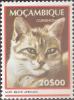 Colnect-1115-997-Domestic-Cat-Felis-silvestris-catus.jpg
