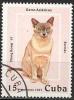 Colnect-1118-262-Burmese-Cat-Felis-silvestris-catus.jpg