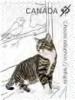 Colnect-1866-447-Domestic-Cat-Felis-silvestris-catus.jpg