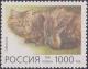 Colnect-1830-116-Siberian-Cat-Felis-silvestris-catus.jpg