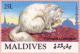 Colnect-2209-456-Persian-Cat-Felis-silvestris-catus.jpg