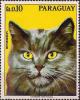 Colnect-2280-958-Domestic-Cat-Felis-silvestris-catus.jpg