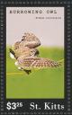 Colnect-3742-854-Burrowing-Owl-Athene-cunicularia---in-flight.jpg