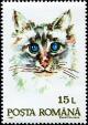 Colnect-5055-356-Domestic-Cat-Felis-silvestris-catus.jpg
