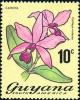 Colnect-5903-683-Cattleya-Violacea.jpg