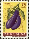 Colnect-4945-228-Eggplant---Aubergine-Solanum-melongena.jpg