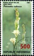 Colnect-940-833-Flora-and-Fauna--Polianthes-tuberosa.jpg
