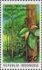 Colnect-1141-767-Flora-and-Fauna--Eucalyptus-urophylla.jpg