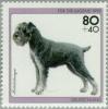 Colnect-154-080-Standard-Schnauzer-Canis-lupus-familiaris.jpg