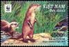 Colnect-4381-827-Asian-small-clawed-otter-nbsp-Aonyx-cinerea.jpg
