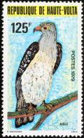 Colnect-1750-140-Cassin-s-Hawk-eagle-Aquila-africana.jpg