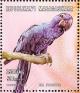 Colnect-1458-243-Hyazinth-Macaw-Anodorynchus-hyacinthinus.jpg