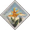Colnect-4578-858-Maxillaria-striata.jpg
