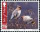 Colnect-4440-019-Bohemian-Waxwing-Bombycilla-garrulus.jpg