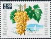 Colnect-591-953-39th-Stamp-Day---Grape-and-lake-Balaton.jpg