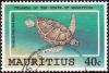 Colnect-1067-462-Green-sea-turtle-Chelonia-mydas.jpg