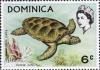 Colnect-1789-241-Green-Sea-Turtle-Chelonia-mydas.jpg