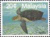 Colnect-1792-797-Green-Sea-Turtle-Chelonia-mydas.jpg