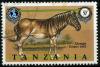 Colnect-1908-106--Quagga-Equus-quagga-quagga.jpg