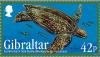 Colnect-2165-657-Leatherback-Sea-Turtle-Dermochelys-coriacea.jpg