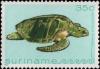 Colnect-2564-070-Olive-Ridley-Sea-Turtle-Lepidochelys-olivacea.jpg