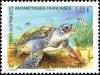 Colnect-2683-503-Green-Sea-Turtle-Chelonia-mydas.jpg
