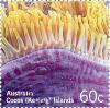 Colnect-2737-654-Magnificent-Sea-Anemone-Heteractis-magnifica.jpg