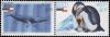 Colnect-4006-702-Antarctica-joint-issue-with-Chile.jpg