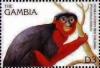 Colnect-4698-227-Guinea-forest-red-colobus.jpg