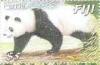 Colnect-587-290-Giant-Panda-Ailuropoda-melanoleuca.jpg