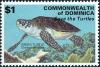 Colnect-6039-578-Green-Sea-Turtle-Chelonia-mydas.jpg