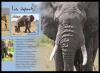 Colnect-6093-158-African-Savanna-Elephant-Loxodonta-africana.jpg