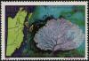 Colnect-6106-600-Purple-Sea-Fan-Gorgonia-ventalina.jpg
