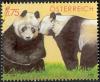 Colnect-693-777-Giant-Panda-Ailuropoda-melanoleuca.jpg