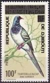 Colnect-996-974-Namaqua-Dove-Oena-capensis.jpg