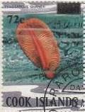 Colnect-2232-335-Orange-Sea-Pen-Ptilosarcus-gurneyi.jpg