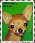 Colnect-2280-953-Chihuahua-Canis-lupus-familiaris.jpg