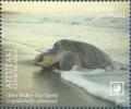 Colnect-6578-284-Olive-Ridley-Sea-Turtle-Lepidochelys-olivacea.jpg