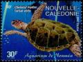 Colnect-858-292-Green-Sea-Turtle-Chelonia-mydas.jpg