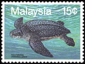Colnect-1044-275-Leatherback-Sea-Turtle-Dermochelys-coriacea.jpg
